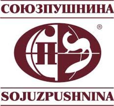 sojupushnina